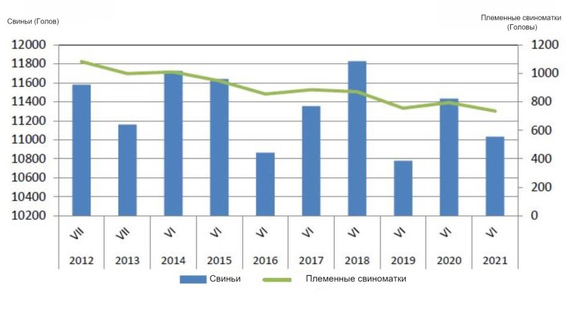 Изменение поголовья свиней в Польше. Источник: GUS.